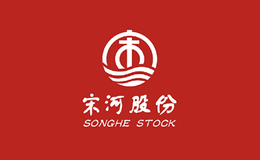 宋河-白酒包装品牌策划设计公司