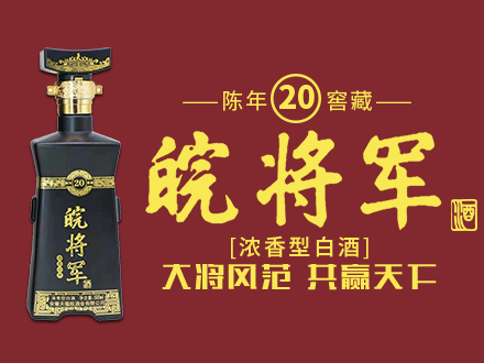 天蕴皖酒-白酒包装品牌策划设计公司